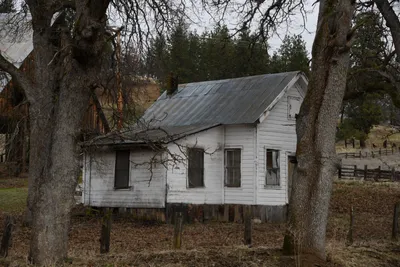 DSC_5856 (Large).JPG